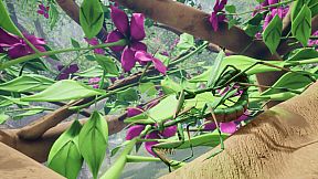 Nature And Life - Drunk On Nectar