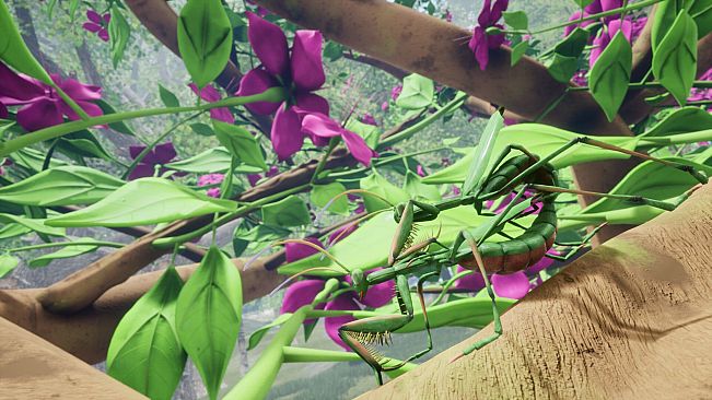 Nature And Life - Drunk On Nectar