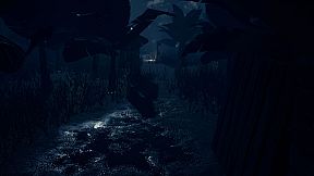 The Origin: Blind Maid