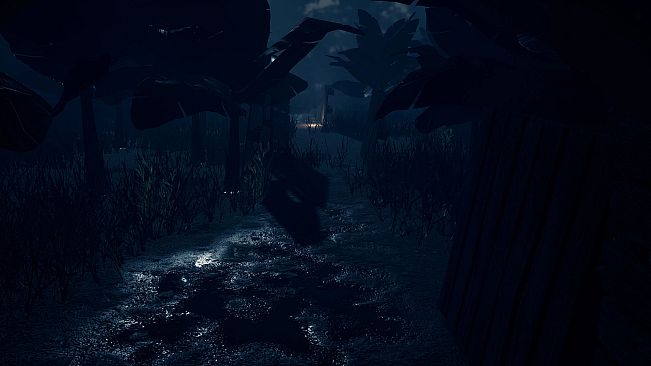 The Origin: Blind Maid