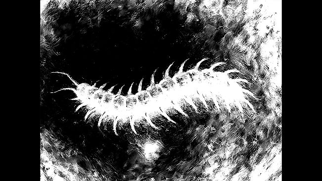 Don’t Make Her Open Her Eyes!