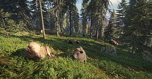 theHunter: Call of the Wild - Facing the Wild 1