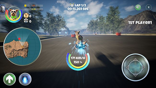 PupRacers