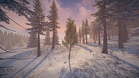 Birch Simulator