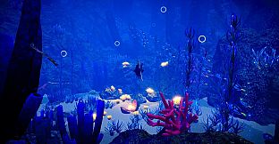 Ocean Fish