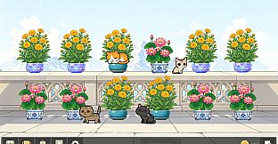 Bloom Cats