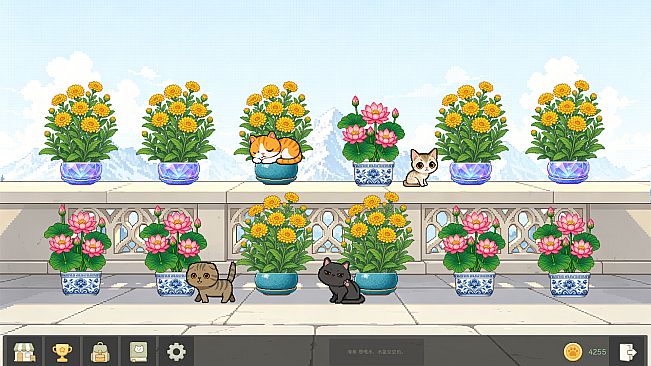 Bloom Cats