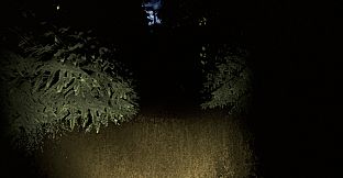 Sciophobia: The Fear of Shadows