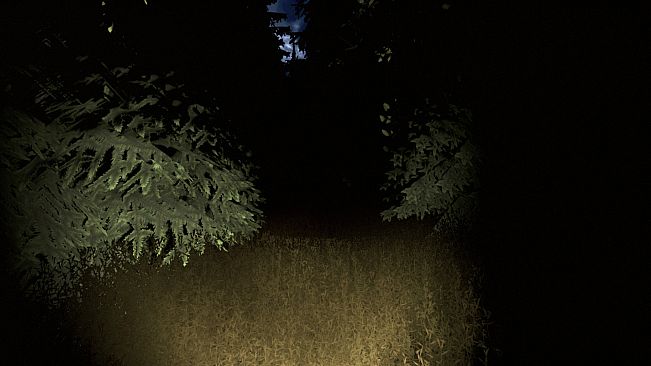 Sciophobia: The Fear of Shadows