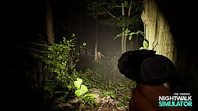 Nightwalk Simulator