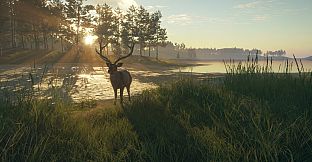 theHunter: Call of the Wild - Te Awaroa National Park