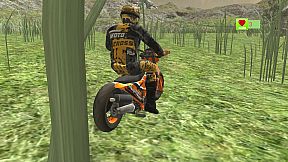 Motorcross Simulator