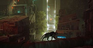 Stray