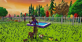 Kennel Chaos