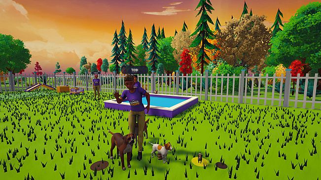 Kennel Chaos