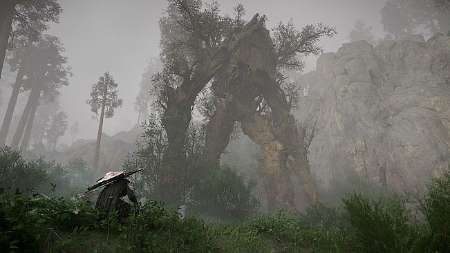 Crimson Desert Deluxe Edition