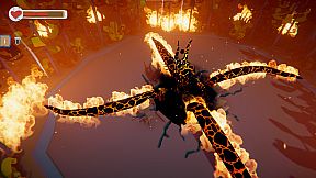 The Mystery of the Cardboard Island