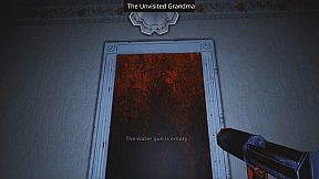 The Unvisited Grandma