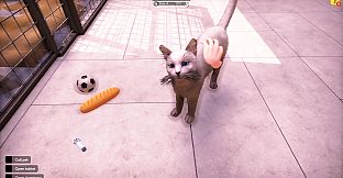 Animal Shelter 2