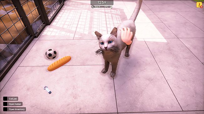 Animal Shelter 2