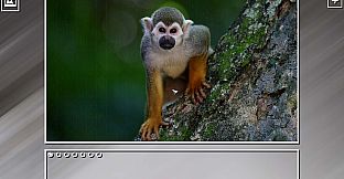 Super Jigsaw Puzzle: Generations - Monkeys & Apes Puzzles