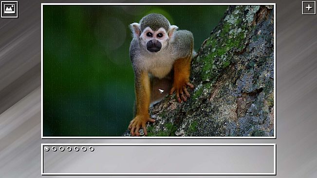 Super Jigsaw Puzzle: Generations - Monkeys & Apes Puzzles