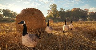 theHunter: Call of the Wild - Wild Goose Chase Gear