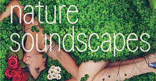 Visual Novel Maker - Nature Soundscapes