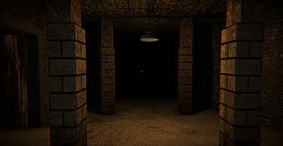 The Designer's Curse