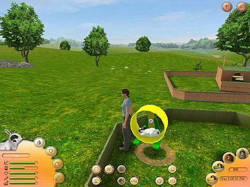 Paws and Claws: Pet School