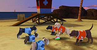 Jerry Rice & Nitus' Dog Football