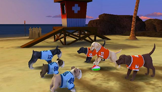 Jerry Rice & Nitus' Dog Football