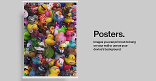 Placid Plastic Duck Simulator - Digital Supporter Duck