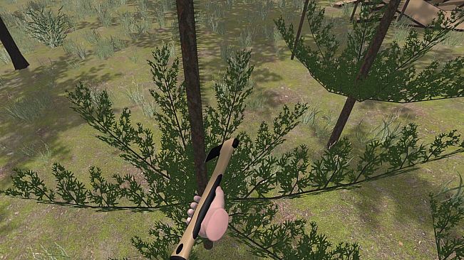 Forest Construction VR
