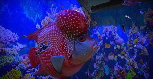 Aquarist - Asian Fish DLC