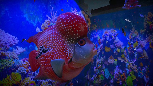 Aquarist - Asian Fish DLC
