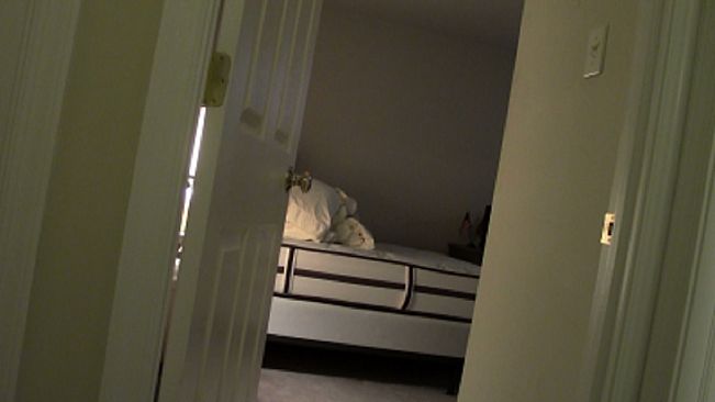 One Night You're Crazy