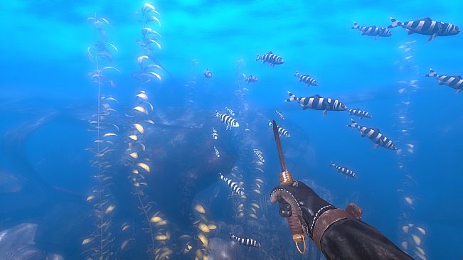 Depth - Wilhelm Diver