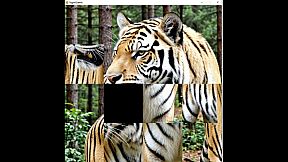 hgmGame-tiger