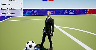 Foot Simulator