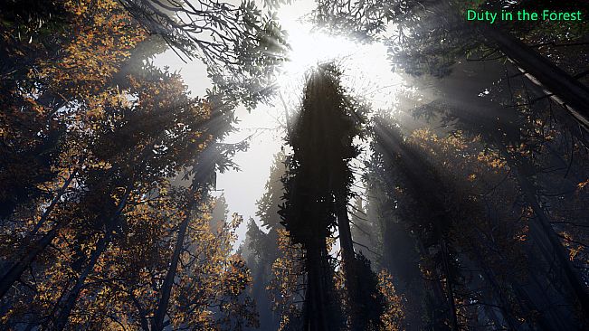 Duty in the Forest