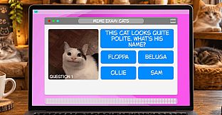 Meme Exam: Cats