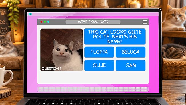 Meme Exam: Cats
