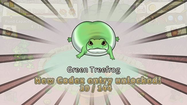 Plump! Dumb Frog Pond