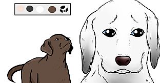 The Life of One Dog (Art Book)