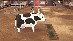 STORY OF SEASONS: A Wonderful Life