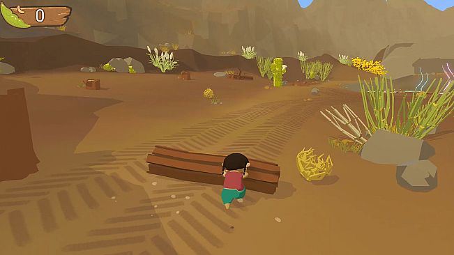 Flora and the Ceibo Seeds