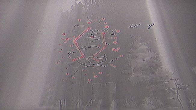 Our Elusive Suffering