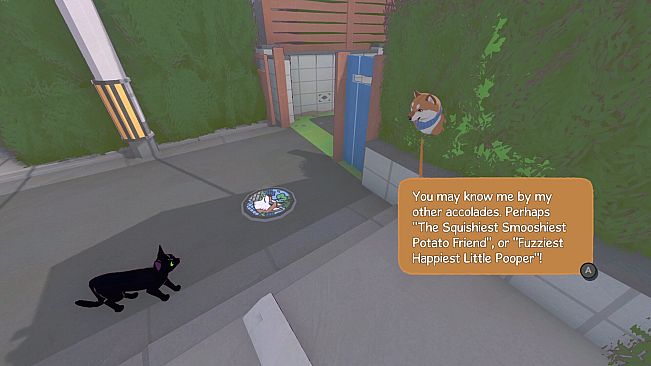 Little Kitty, Big City