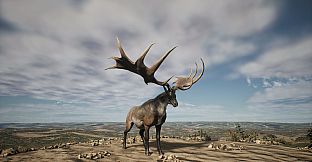 PROJECT HUNT - LONE STAR HUNTING RANCH